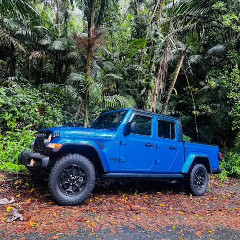 Blue Jeep Gladiator parked along a lush jungle road with tropical plants