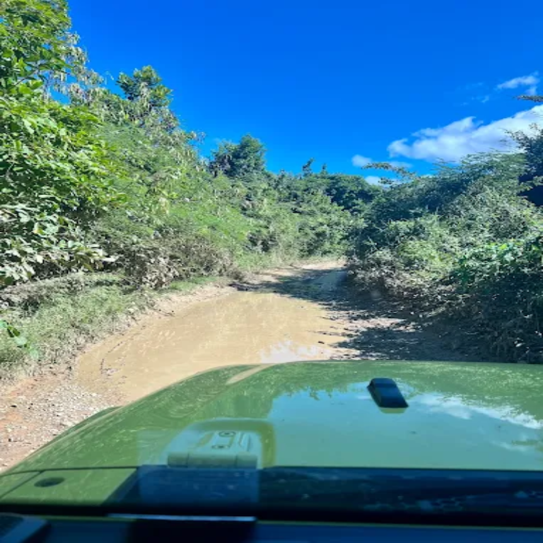 Jeep driving through a muddy off-road trail surrounded by tropical greenery